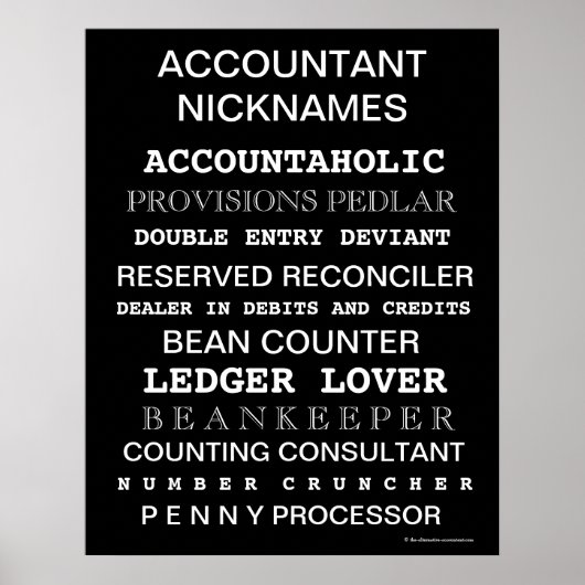 Accountant Nicknames Motivierend Poster (Vorne)