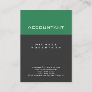 Accountant Sea Green Gray Chubby Business Card Visitenkarte