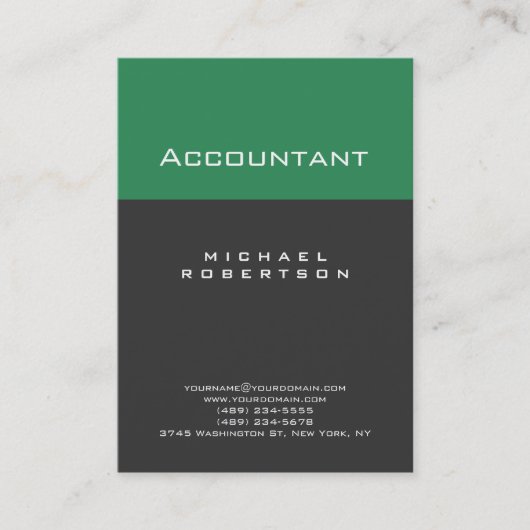 Accountant Sea Green Gray Chubby Business Card Visitenkarte (Vorderseite)