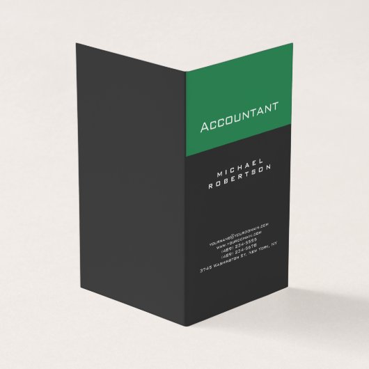 Accountant Sea Green Gray Chubby Business Card Visitenkarten (Vorderseite)