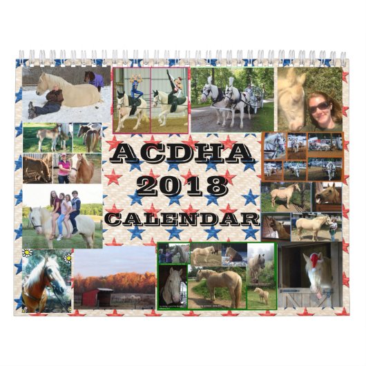ACDHA 2018 Kalender (Titelbild)