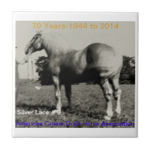 ACDHA silberne Spitze-Jahrestagsfliese Fliese