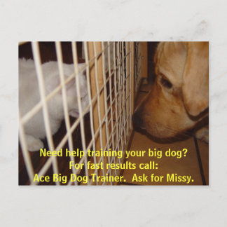 Ace Big Dog Trainer Postkarte