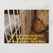 Ace Big Dog Trainer Postkarte (Vorderseite)
