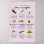 Aceites esenciales aromaterapia en español poster (Vorne)