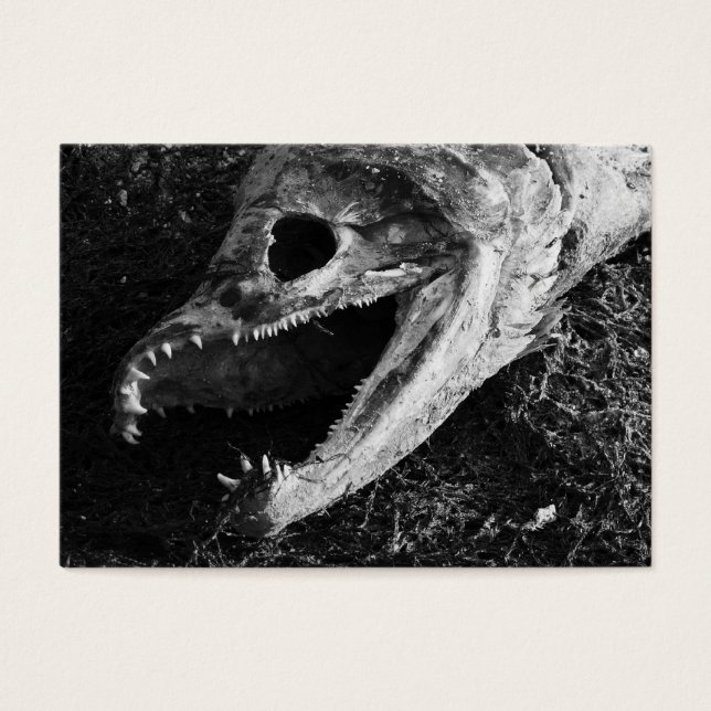 ACEO Rotlachsfische Schwarz & Weiß (Vorderseite)