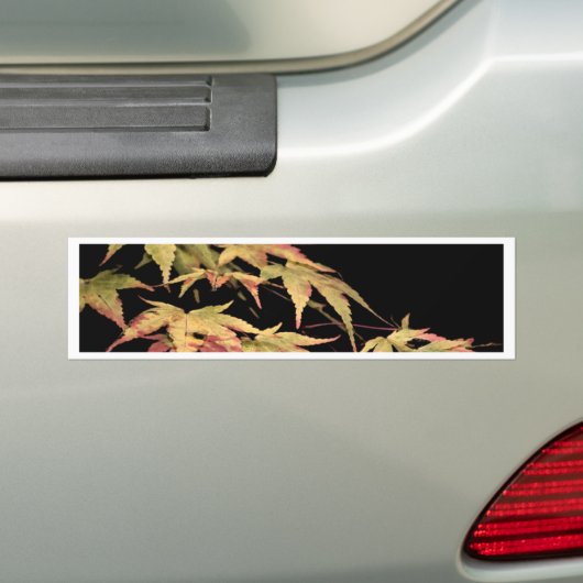 Acer-Autoaufkleber Autoaufkleber (Auf Auto)