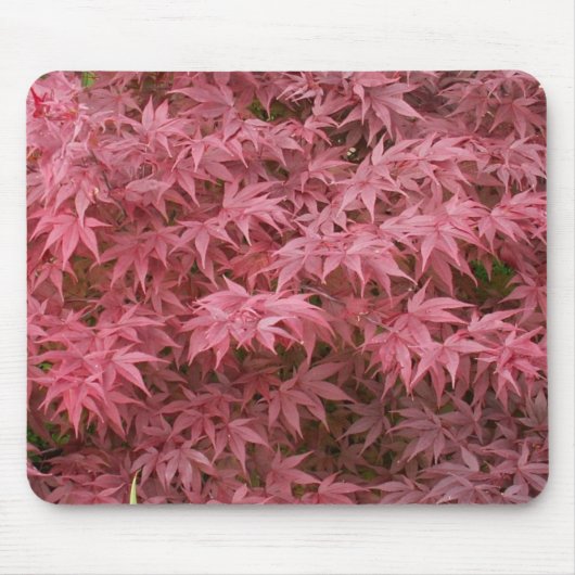 Acer palmatum Blätter Mousepad (Vorne)