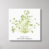 Acetabularia (Mermaid's Wineglass) Handgezogene Leinwanddruck (Vorderseite)