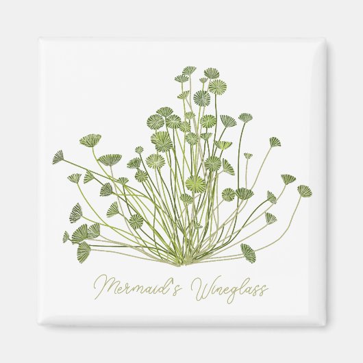 Acetabularia Seaweed Art Square Magnet (Vorne)