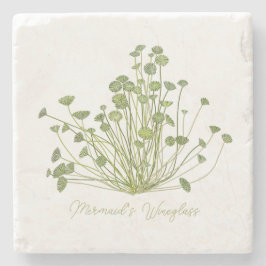 Acetabularia Seetang-Stone-Untersetzer Steinuntersetzer