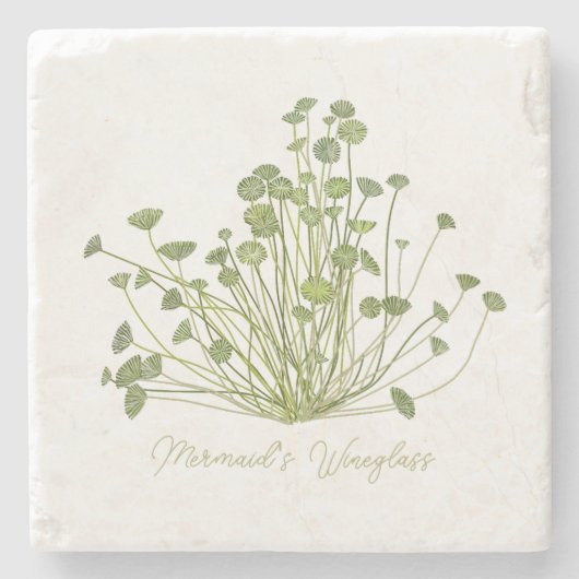 Acetabularia Seetang-Stone-Untersetzer Steinuntersetzer (Vorderseite)