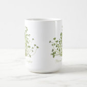 Acetabularia Seetang Tasse (Mittel)