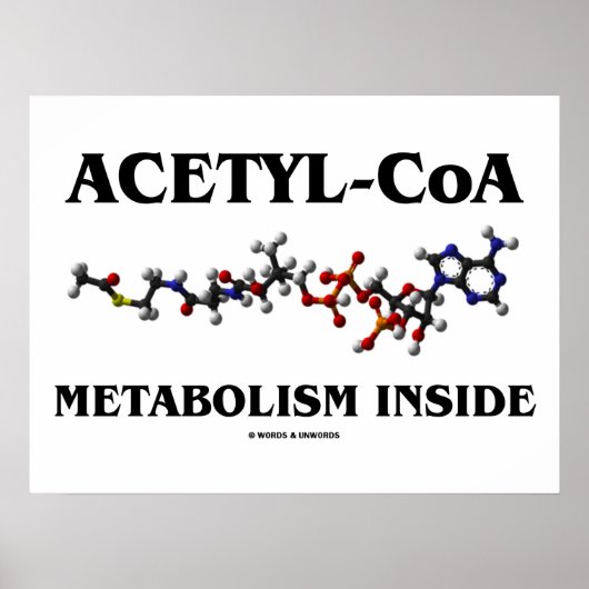 Acetyl-CoA-Metabolismus Inside (chemisches Molekül Poster (Vorne)