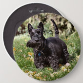 Ach Button (Vorne & Hinten)