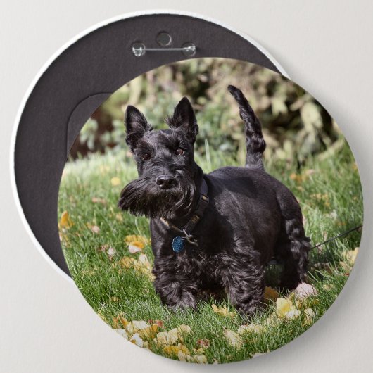 Ach Button (Vorne & Hinten)