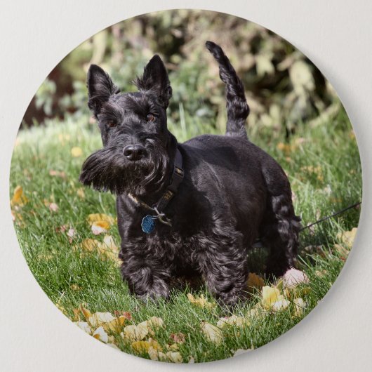 Ach Button (Vorderseite)