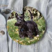 Ach Button (Beispiel)