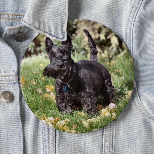 Ach Button (Beispiel)