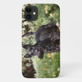 Ach Case-Mate iPhone Hülle (Rückseite)