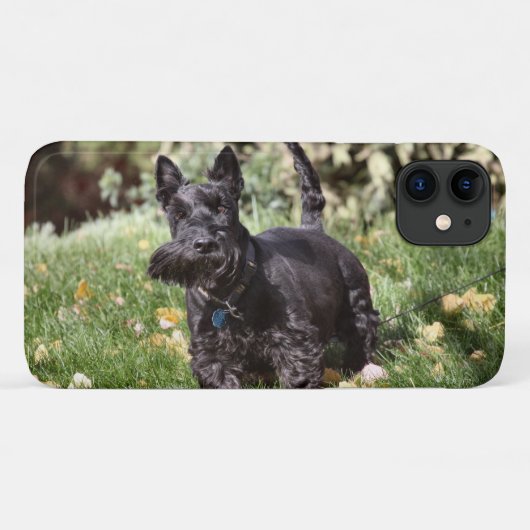 Ach Case-Mate iPhone Hülle (Rückseite (Horizontal))