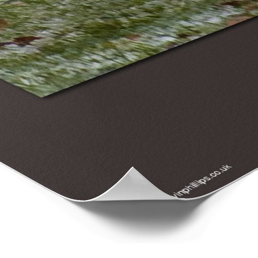 Ach, für Fox Sake Poster (Ecke)