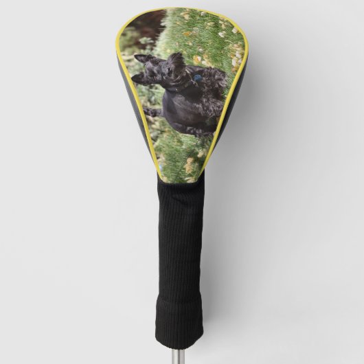 Ach Golf Head Cover Headcover (Vorderseite)