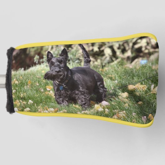 Ach Golf Headcover (Vorderseite)