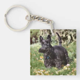 Ach! Schlüsselanhänger