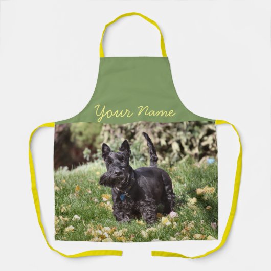 Ach Schürze (Vorderseite)