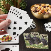 Ach Spielkarten (In Situ)