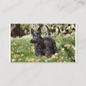 Ach Visitenkarte (Rückseite)