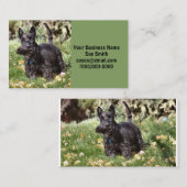 Ach Visitenkarte (Vorne/Hinten)