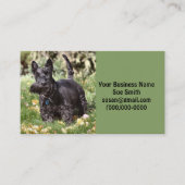 Ach Visitenkarte (Vorderseite)