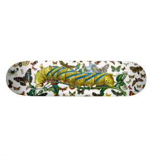 Acherontia-Atropos-Raupe Skateboard