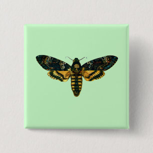 Acherontia-Atropos (Todeskopf Hawkmoth) Button