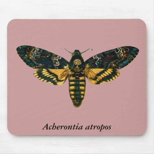 Acherontia-Atropos (Todeskopf Hawkmoth) Mousepad (Vorne)
