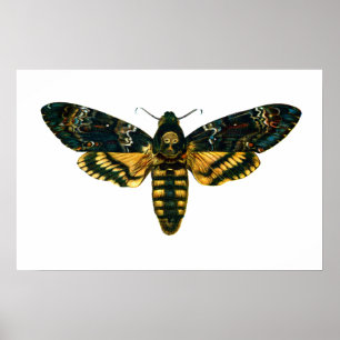 Acherontia-Atropos (Todeskopf Hawkmoth) Poster