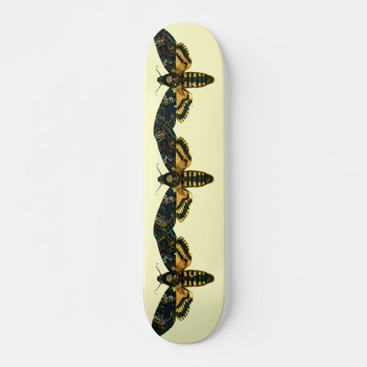 Acherontia-Atropos (Todeskopf Hawkmoth) Skateboard (Vorne)