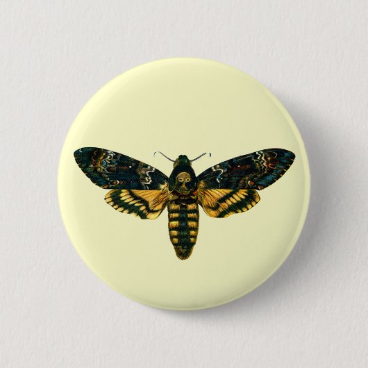 Acherontia-Atropos (Todeskopfhawkmoth) Button (Vorderseite)