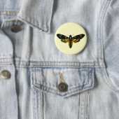 Acherontia-Atropos (Todeskopfhawkmoth) Button (Beispiel)