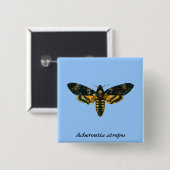 Acherontia-Atropos (Todeskopfhawkmoth) Button (Vorne & Hinten)