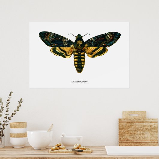 Acherontia-Atropos (Todeskopfhawkmoth) Poster (Küche)