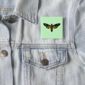Acherontia atropos (Totenkopfschwärmer) Button (Beispiel)