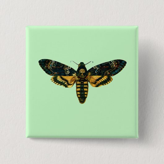 Acherontia atropos (Totenkopfschwärmer) Button (Vorderseite)