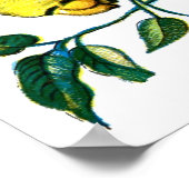 Acherontia-Raupe Poster (Ecke)