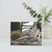 Achilles Postkarte (Stehend Vorderseite)