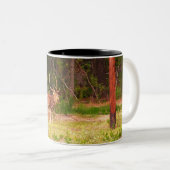 Achsenrotwild Tasse (VorderseiteRechts)