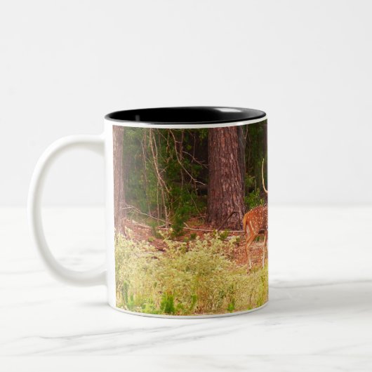 Achsenrotwild Tasse (Links)