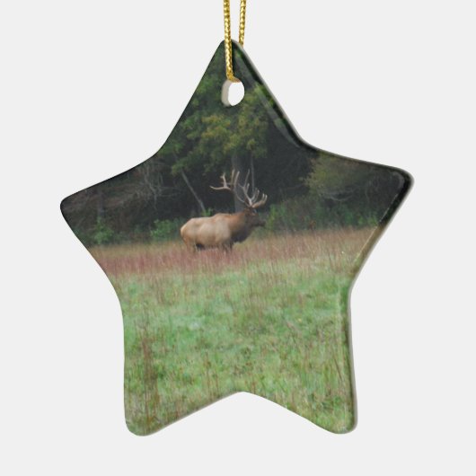 Acht 8-Punkte-Bull-Elch im Herbst Keramik Ornament (Links)